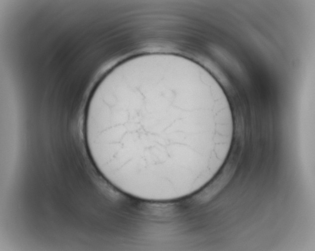 X0000114130856200910081243