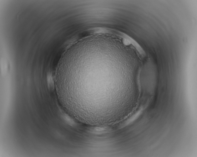 X0000114130857200910081243