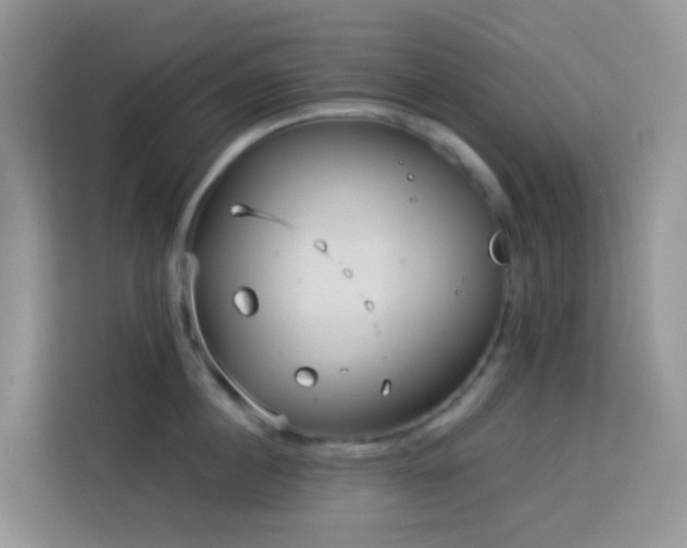 X0000114130860200910081243