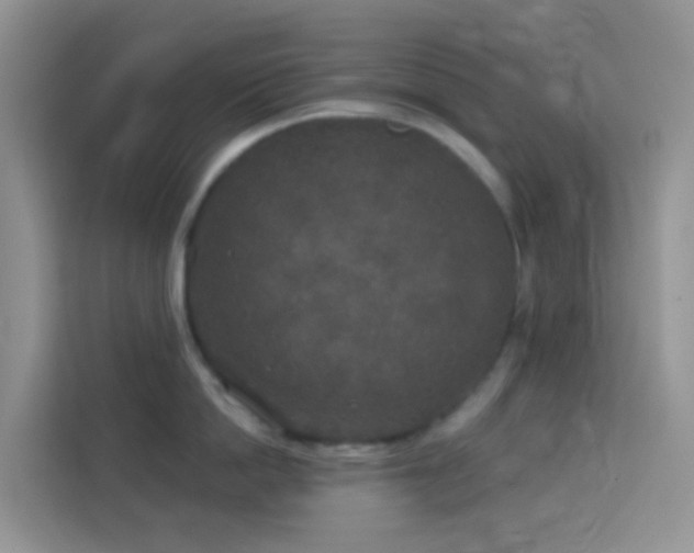 X0000114130862200910081243