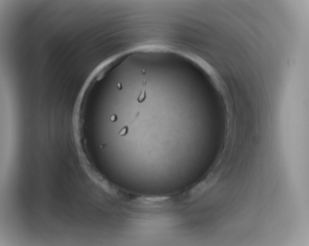 X0000114130864200910081243