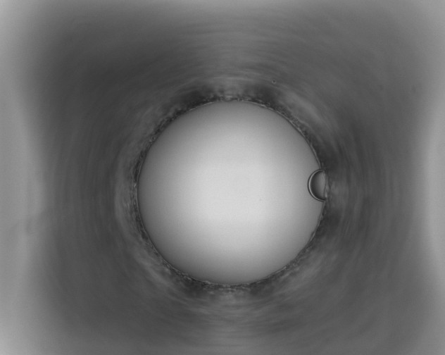 X0000114130865200910081242