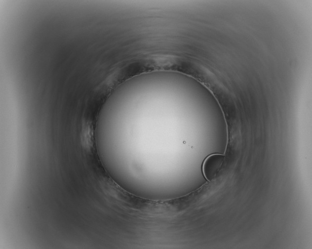 X0000114130866200910081242