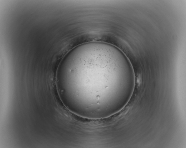 X0000114130867200910081242