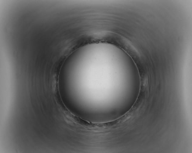 X0000114130868200910081242