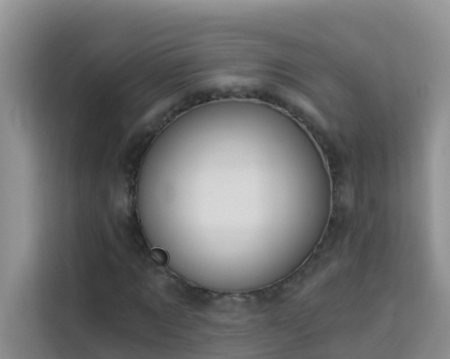 X0000114130869200910081242