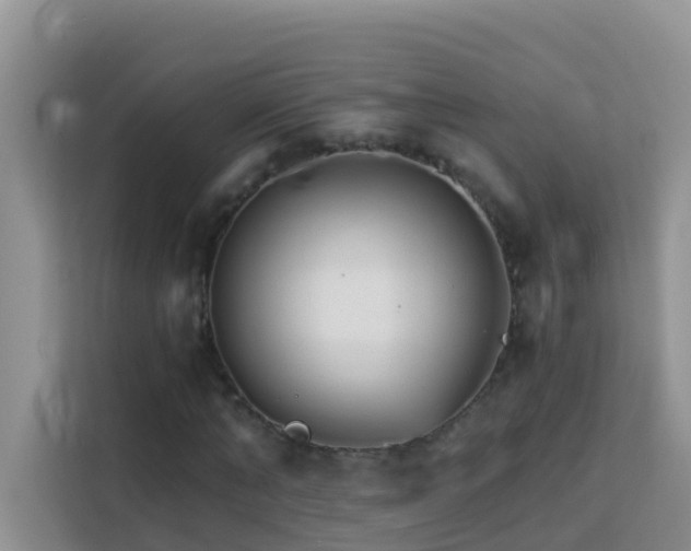 X0000114130870200910081242