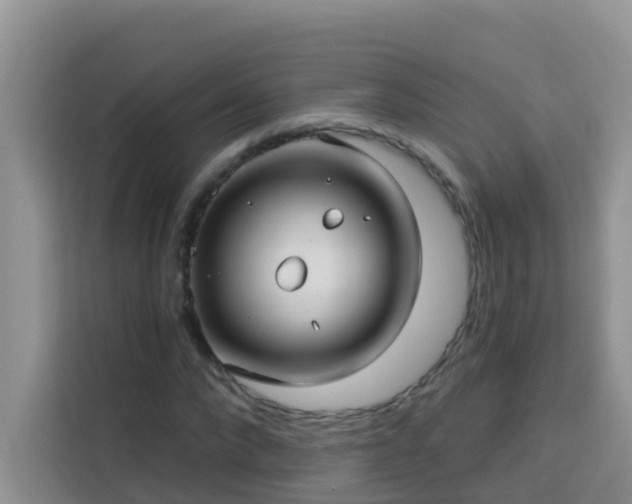 X0000114130872200910081242