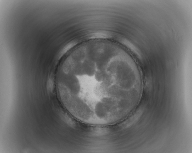 X0000114130874200910081242