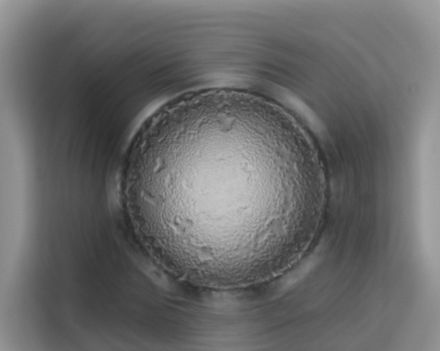 X0000114130875200910081242