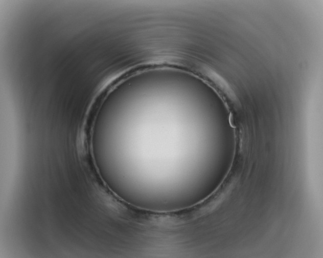X0000114130876200910081242