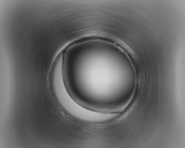 X0000114130877200910081242