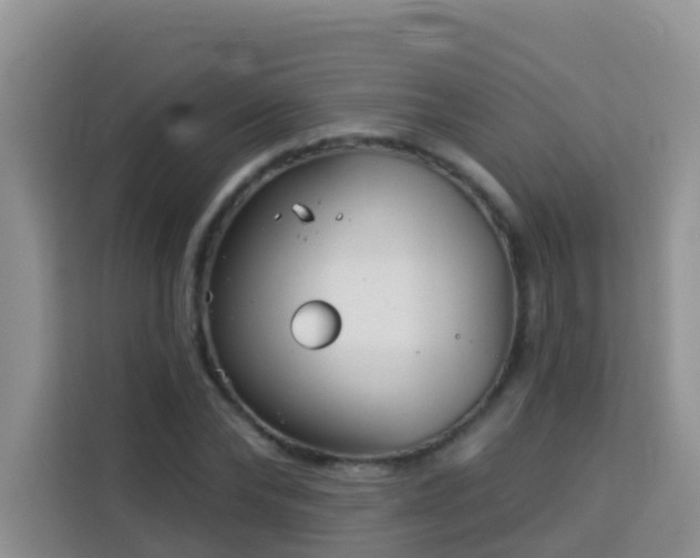 X0000114130878200910081242