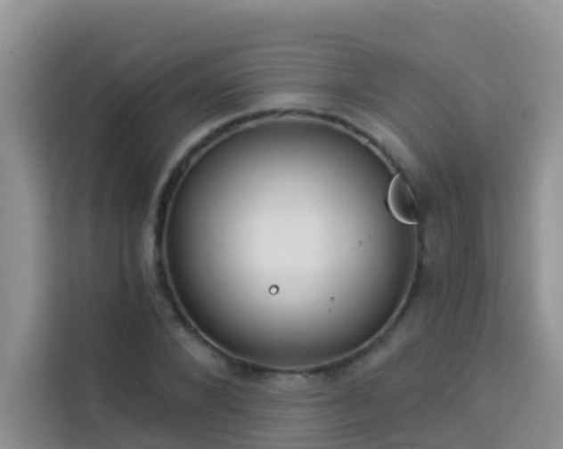 X0000114130880200910081242