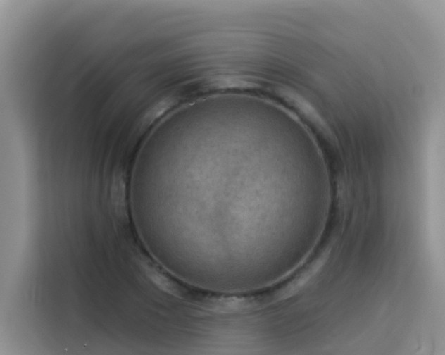 X0000114130881200910081242