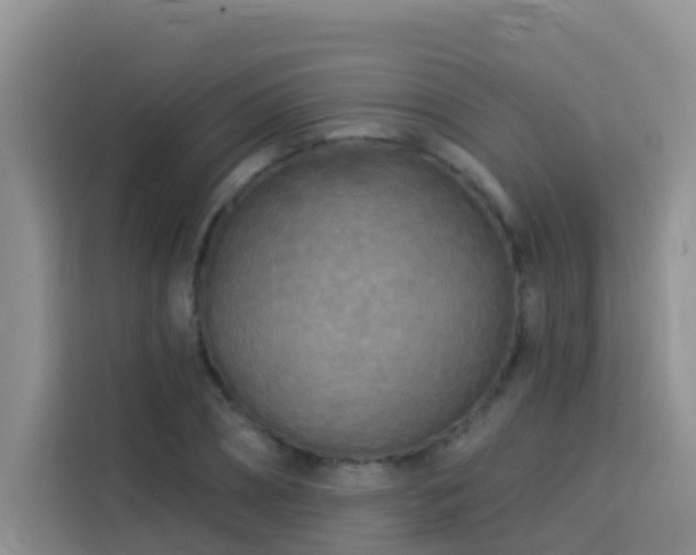 X0000114130882200910081242