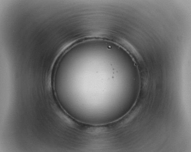 X0000114130884200910081242