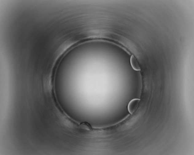 X0000114130885200910081242