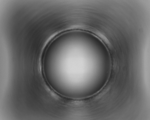 X0000114130888200910081242