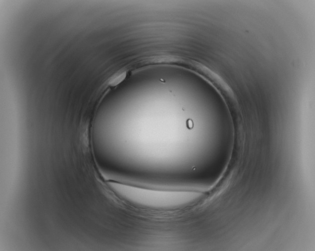 X0000114130889200910081242
