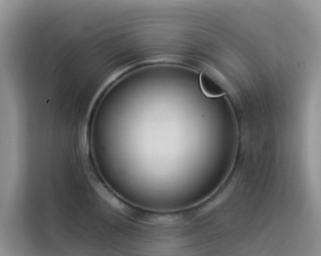 X0000114130892200910081242
