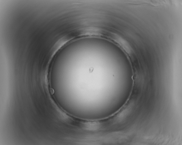 X0000114130893200910081242