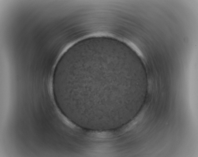 X0000114130895200910081242