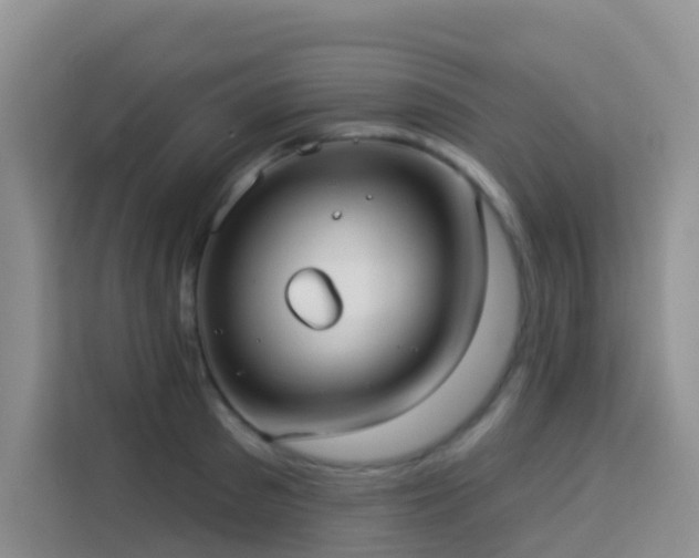 X0000114130897200910081242