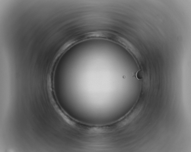 X0000114130898200910081242