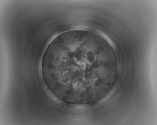 X0000114130899200910081242