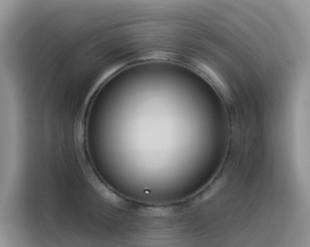 X0000114130900200910081242