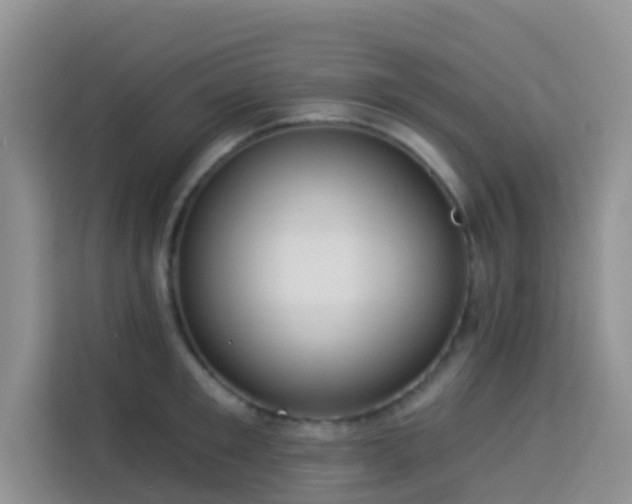 X0000114130901200910081242