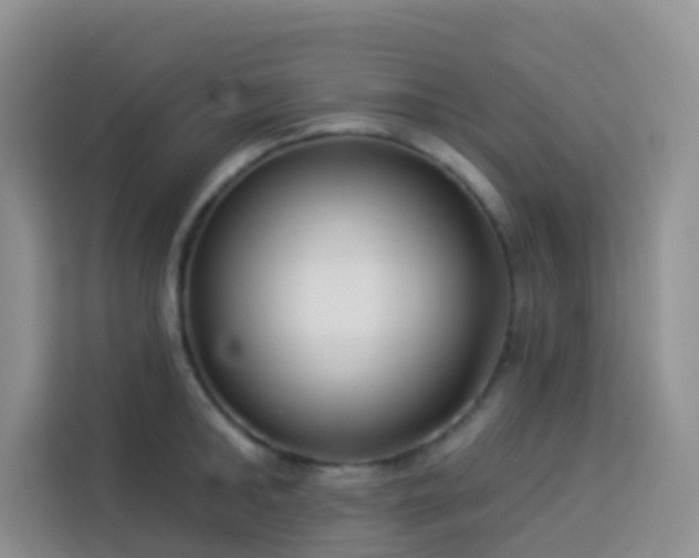 X0000114130902200910081242