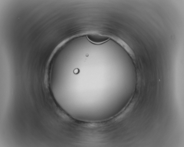 X0000114130904200910081242
