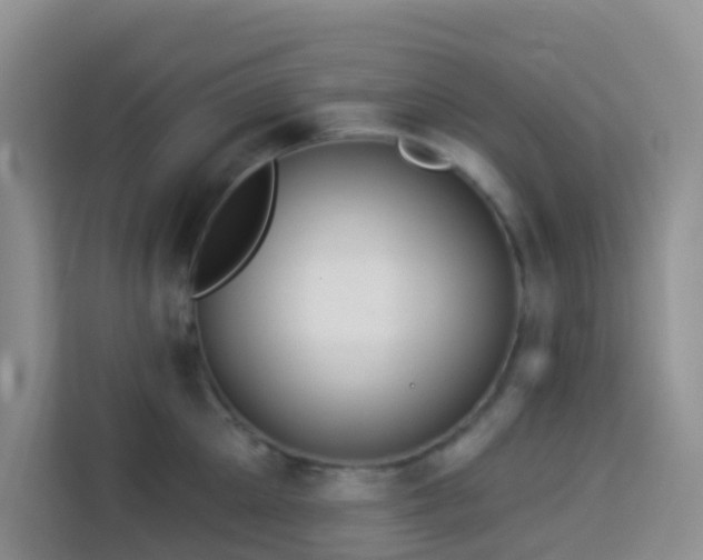 X0000114130905200910081242