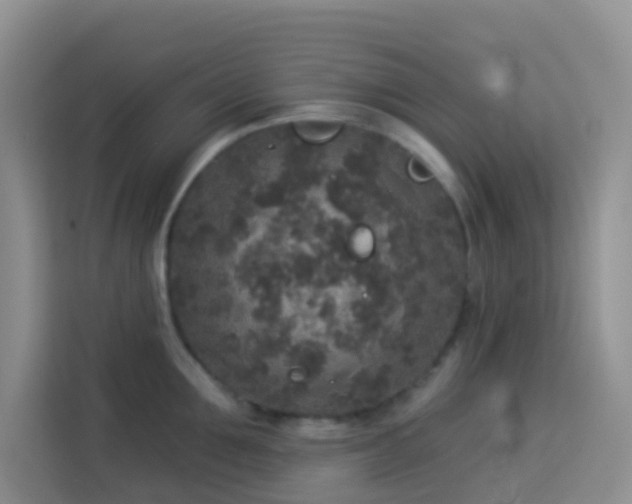 X0000114130907200910081242