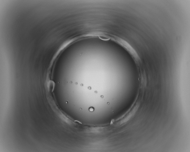 X0000114130908200910081242