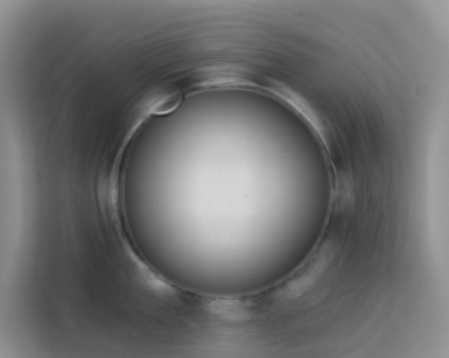 X0000114130909200910081242
