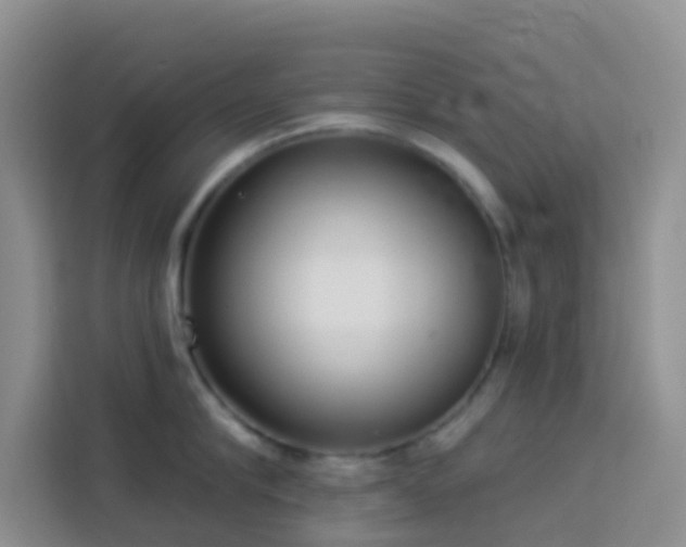 X0000114130910200910081242