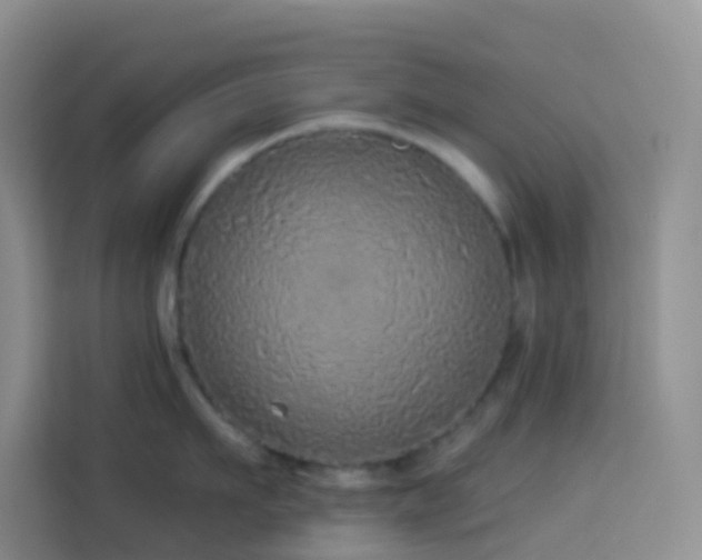 X0000114130911200910081242