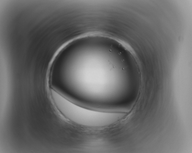 X0000114130912200910081242
