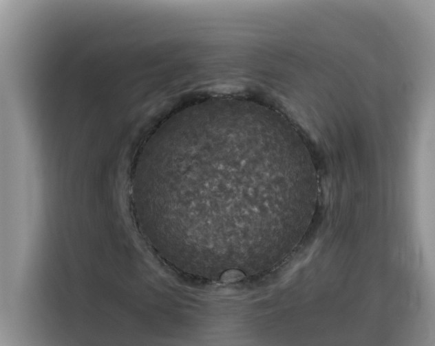 X0000114130913200910081241