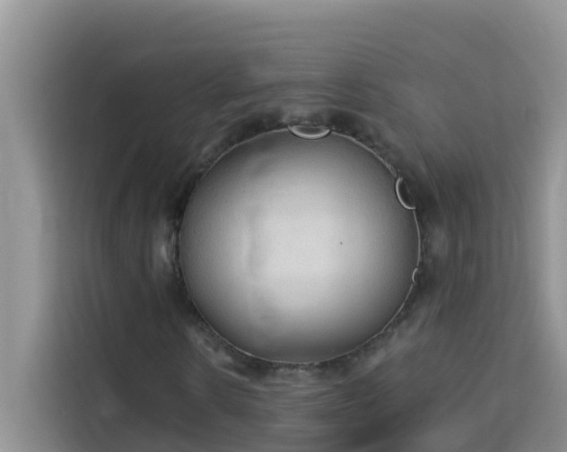 X0000114130914200910081241