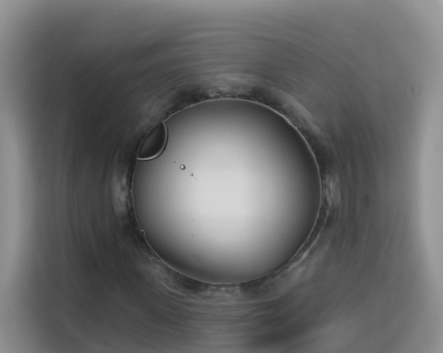 X0000114130915200910081241