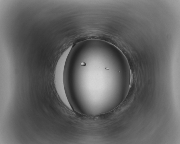 X0000114130916200910081241