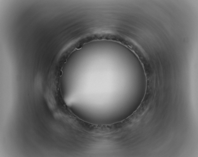 X0000114130919200910081241