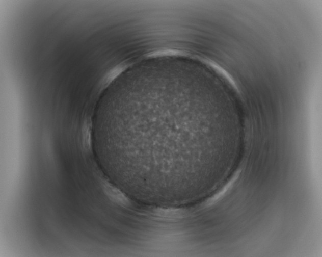 X0000114130921200910081241