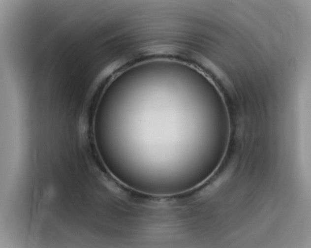 X0000114130922200910081241