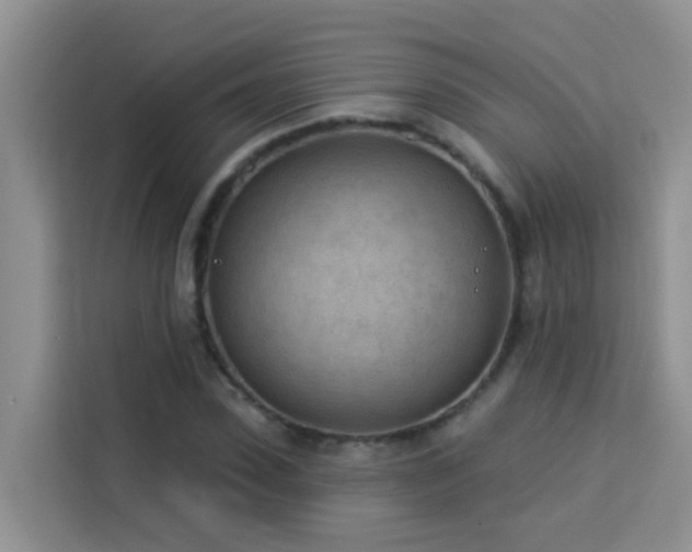 X0000114130923200910081241