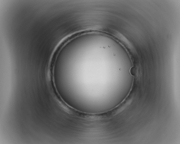 X0000114130924200910081241